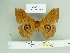  ( - BC-RBP 3386)  @11 [ ] Copyright (2010) Unspecified Research Collection of Ron Brechlin