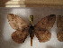  ( - BC-RBP 4950)  @12 [ ] Copyright (2010) Ron Brechlin Research Collection of Ron Brechlin