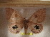  ( - BC-RBP 4953)  @13 [ ] Copyright (2010) Ron Brechlin Research Collection of Ron Brechlin