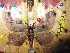  ( - BC-RBP 5000)  @12 [ ] Copyright (2010) Ron Brechlin Research Collection of Ron Brechlin