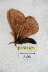  ( - BC-RBP 5072)  @12 [ ] Copyright (2011) Ron Brechlin Research Collection of Ron Brechlin