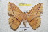  ( - BC-RBP 5127)  @13 [ ] Copyright (2011) Ron Brechlin Research Collection of Ron Brechlin