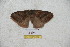  ( - BC-RBP 5152)  @12 [ ] Copyright (2011) Ron Brechlin Research Collection of Ron Brechlin