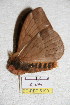  ( - BC-RBP 5199)  @12 [ ] Copyright (2011) Ron Brechlin Research Collection of Ron Brechlin