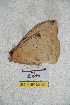  ( - BC-RBP 5202)  @12 [ ] Copyright (2011) Ron Brechlin Research Collection of Ron Brechlin