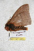  ( - BC-RBP 5209)  @12 [ ] Copyright (2011) Ron Brechlin Research Collection of Ron Brechlin