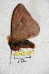  ( - BC-RBP 5210)  @12 [ ] Copyright (2011) Ron Brechlin Research Collection of Ron Brechlin