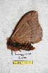  ( - BC-RBP 5216)  @12 [ ] Copyright (2011) Ron Brechlin Research Collection of Ron Brechlin