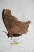  ( - BC-RBP 5284)  @12 [ ] Copyright (2011) Ron Brechlin Research Collection of Ron Brechlin