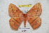  ( - BC-RBP 5391)  @14 [ ] Copyright (2010) Ron Brechlin Research Collection of Ron Brechlin