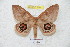  ( - BC-RBP 5394)  @13 [ ] Copyright (2010) Ron Brechlin Research Collection of Ron Brechlin