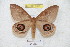  ( - BC-RBP 5395)  @13 [ ] Copyright (2010) Ron Brechlin Research Collection of Ron Brechlin