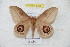  ( - BC-RBP 5396)  @13 [ ] Copyright (2010) Ron Brechlin Research Collection of Ron Brechlin