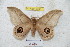  ( - BC-RBP 5398)  @14 [ ] Copyright (2010) Ron Brechlin Research Collection of Ron Brechlin