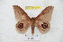  ( - BC-RBP 5400)  @13 [ ] Copyright (2010) Ron Brechlin Research Collection of Ron Brechlin