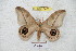 ( - BC-RBP 5402)  @13 [ ] Copyright (2010) Ron Brechlin Research Collection of Ron Brechlin