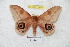  ( - BC-RBP 5403)  @14 [ ] Copyright (2010) Ron Brechlin Research Collection of Ron Brechlin