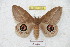  ( - BC-RBP 5404)  @14 [ ] Copyright (2010) Ron Brechlin Research Collection of Ron Brechlin