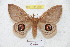  ( - BC-RBP 5405)  @14 [ ] Copyright (2010) Ron Brechlin Research Collection of Ron Brechlin