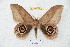  ( - BC-RBP 5408)  @14 [ ] Copyright (2010) Ron Brechlin Research Collection of Ron Brechlin