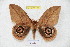  ( - BC-RBP 5409)  @12 [ ] Copyright (2010) Ron Brechlin Research Collection of Ron Brechlin
