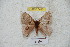  ( - BC-RBP 5415)  @13 [ ] Copyright (2010) Ron Brechlin Research Collection of Ron Brechlin
