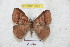  ( - BC-RBP 5426)  @13 [ ] Copyright (2010) Ron Brechlin Research Collection of Ron Brechlin