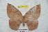 ( - BC-RBP 5476)  @13 [ ] Copyright (2010) Ron Brechlin Research Collection of Ron Brechlin