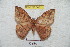  ( - BC-RBP 5480)  @14 [ ] Copyright (2010) Ron Brechlin Research Collection of Ron Brechlin