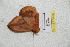  ( - BC-RBP 5496)  @12 [ ] Copyright (2010) Ron Brechlin Research Collection of Ron Brechlin