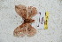  ( - BC-RBP 5501)  @12 [ ] Copyright (2010) Ron Brechlin Research Collection of Ron Brechlin