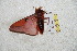  ( - BC-RBP 5510)  @12 [ ] Copyright (2010) Ron Brechlin Research Collection of Ron Brechlin