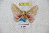  ( - BC-RBP 5551)  @12 [ ] Copyright (2010) Ron Brechlin Research Collection of Ron Brechlin
