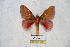  ( - BC-RBP 5571)  @13 [ ] Copyright (2010) Ron Brechlin Research Collection of Ron Brechlin