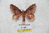  ( - BC-RBP 5611)  @14 [ ] Copyright (2010) Ron Brechlin Research Collection of Ron Brechlin