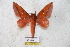  ( - BC-RBP 5615)  @13 [ ] Copyright (2010) Ron Brechlin Research Collection of Ron Brechlin
