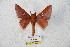  ( - BC-RBP 5620)  @14 [ ] Copyright (2010) Ron Brechlin Research Collection of Ron Brechlin