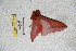  ( - BC-RBP 5713)  @11 [ ] Copyright (2010) Ron Brechlin Research Collection of Ron Brechlin