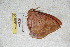  ( - BC-RBP 5715)  @13 [ ] Copyright (2010) Ron Brechlin Research Collection of Ron Brechlin
