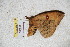  ( - BC-RBP 5722)  @12 [ ] Copyright (2010) Ron Brechlin Research Collection of Ron Brechlin