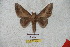  ( - BC-RBP 5727)  @13 [ ] Copyright (2010) Ron Brechlin Research Collection of Ron Brechlin