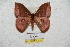  ( - BC-RBP 5770)  @13 [ ] Copyright (2010) Ron Brechlin Research Collection of Ron Brechlin