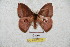  ( - BC-RBP 5771)  @13 [ ] Copyright (2010) Ron Brechlin Research Collection of Ron Brechlin