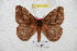  ( - BC-RBP 5796)  @14 [ ] Copyright (2010) Ron Brechlin Research Collection of Ron Brechlin
