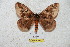  ( - BC-RBP 5832)  @13 [ ] Copyright (2010) Ron Brechlin Research Collection of Ron Brechlin