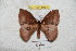  ( - BC-RBP 5934)  @13 [ ] Copyright (2010) Ron Brechlin Research Collection of Ron Brechlin