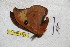  ( - BC-RBP 4394)  @12 [ ] Copyright (2010) Ron Brechlin Unspecified