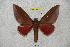  ( - BC-RBP 4497)  @13 [ ] Copyright (2010) Ron Brechlin Unspecified