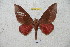  ( - BC-RBP 4498)  @14 [ ] Copyright (2010) Ron Brechlin Unspecified