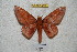  ( - BC-RBP 4518)  @14 [ ] Copyright (2010) Ron Brechlin Unspecified